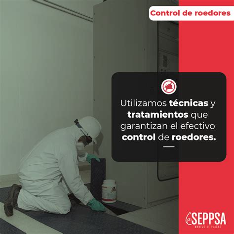 control de plagas y roedores Seppsa Tú mejor opción