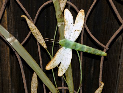 Dragonfly Garden Decor #2 Free Stock Photo - Public Domain Pictures