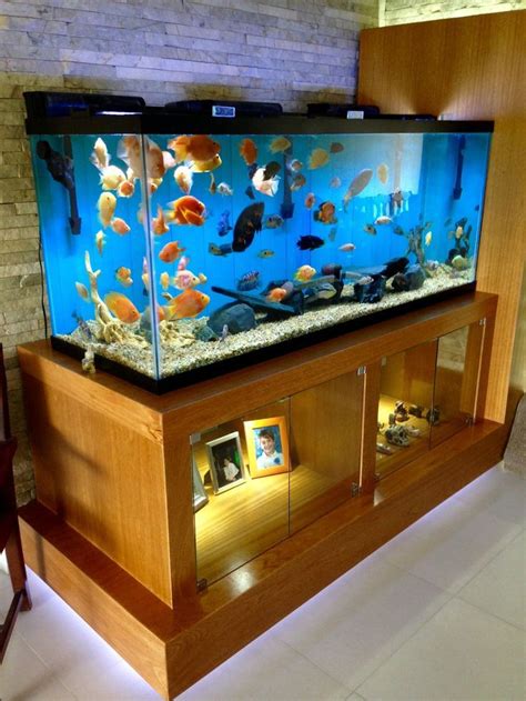 Outstanding Aquariam Decoration Ideas Aquariam Wall Bubble Wall