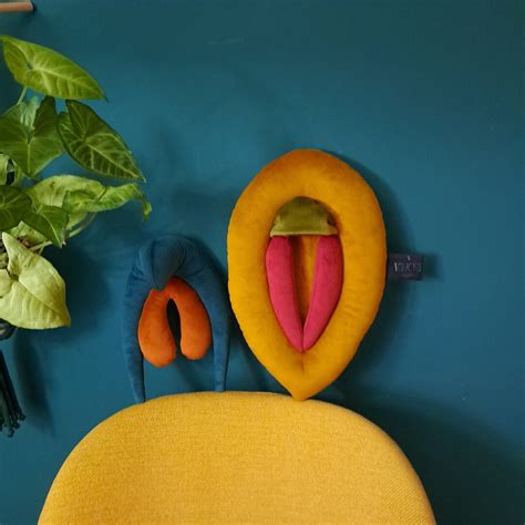 Vulva Pillows Anatomy Set Colorful Plushy Puppets For Sex Education