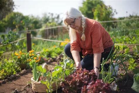 Les Bienfaits Du Jardinage Pour Les Personnes G Es Une Source De