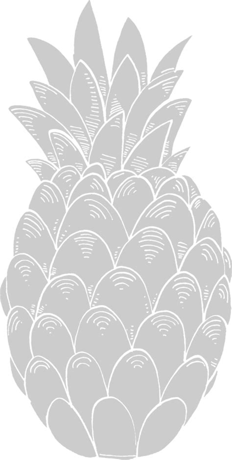 Pineapple 36660769 Vector Art At Vecteezy