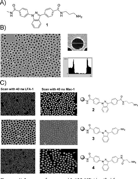 Figure From Identification And X Ray Co Crystal Structure Of A Small