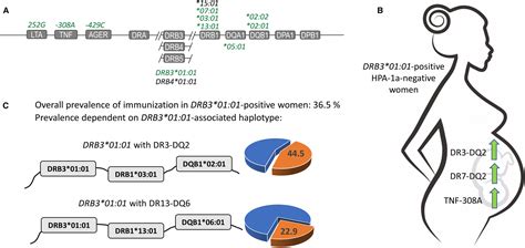 The Prevalence Of Hpa‐1a Alloimmunization And The Potential Risk Of