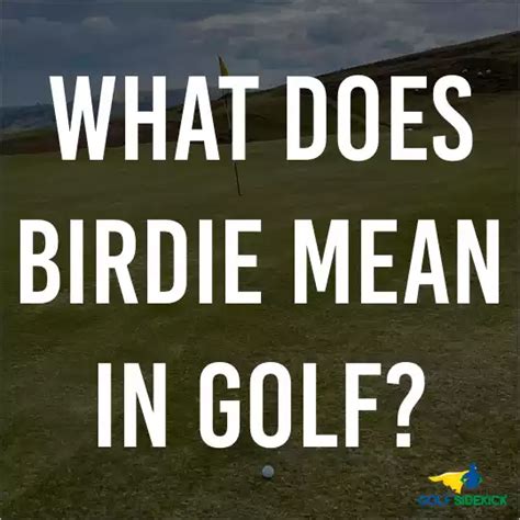 Golf Birdie Meaning And Definition Golf Sidekick