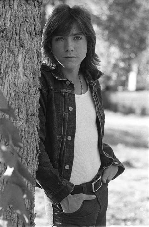 David Cassidy David Cassidy People Singer