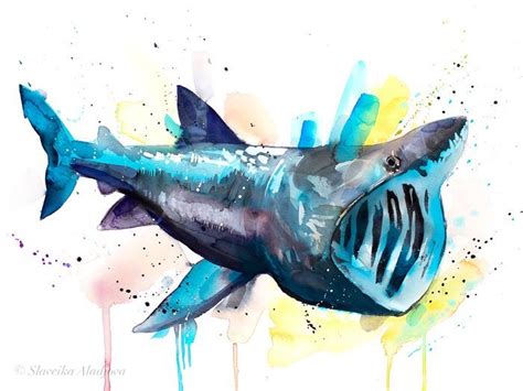 Basking shark watercolor painting print by Slaveika Aladjova