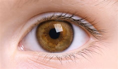 20 Eye Opening Facts About Human Vision Ohmyfacts