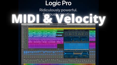 Logic Pro X Midi And Velocity Shorts Youtube