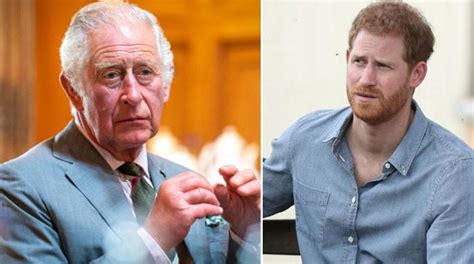 King Charles Can No Longer Indulge Toy Throwing Son Prince Harry