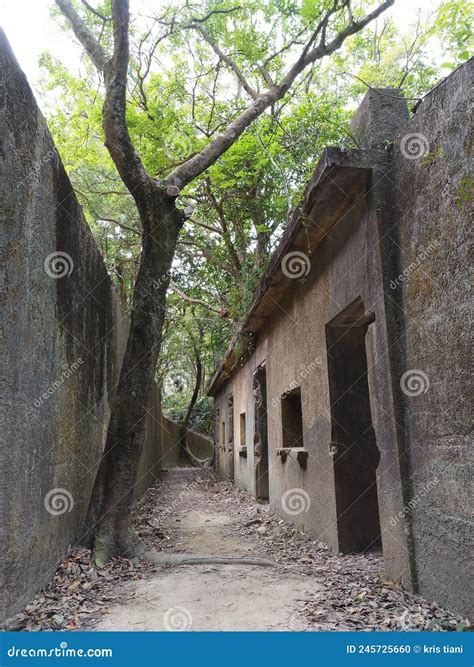 Beautiful Design Old Palace History Site Pinewood Battery Hike In Lung