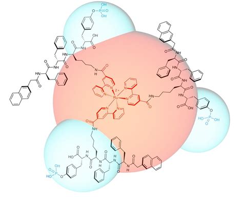 Cancer Busting Molecule Design Image Eurekalert Science News Releases