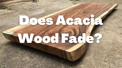 Does Acacia Wood Fade Important Facts Wood Tours