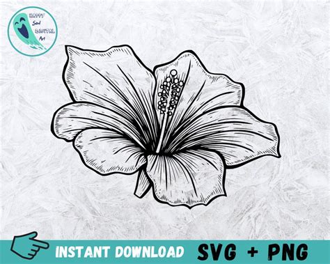 Hibiscus Svg Hawaii Flower Svg Hibiscus Stencil Floral Svg Etsy