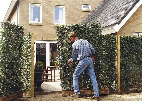 Moderner Sichtschutz Im Garten Seite Von News Informationen