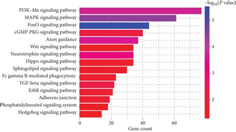 Top Kegg Pathways Regulated By The Predicted Target Genes Of The