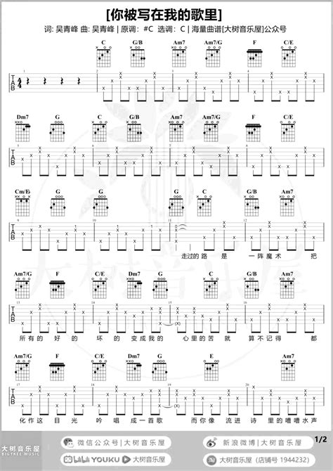 你被写在我的歌里吉他谱演示教学苏打绿c调弹唱谱 看乐谱网