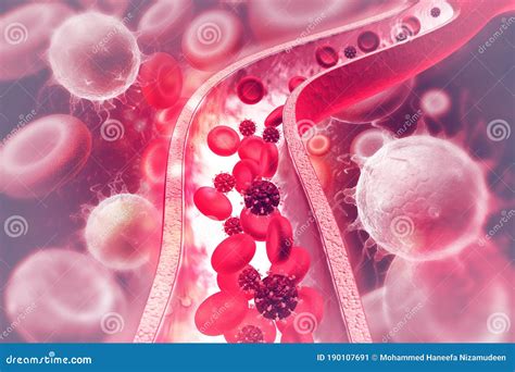 Virus In Bloodstream Stock Illustration Illustration Of Life 190107691