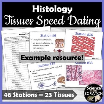 Histology Tissues Unit For Anatomy Doodle Notes PPT Slides