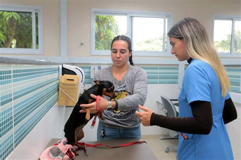 Portal PUC Campinas Vestibular 2025 Medicina Veterinária