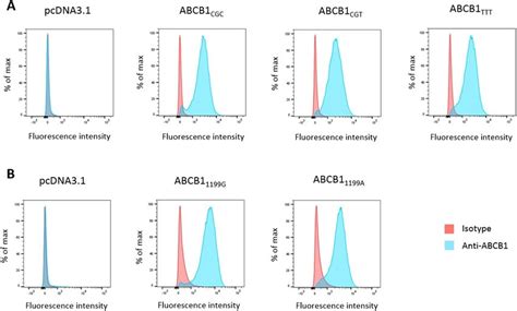 Abcb1 Cell Surface Expression Flow Cytometry Histograms Of Hek293 Download Scientific Diagram