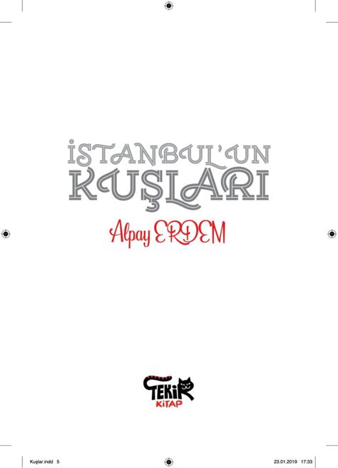 İstanbulun Kuşları Tekir Kitap