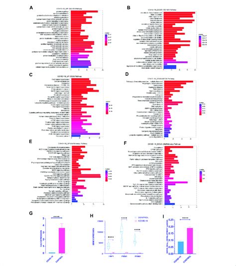 Functional Enrichment Analysis Was Performed On The Differential Genes