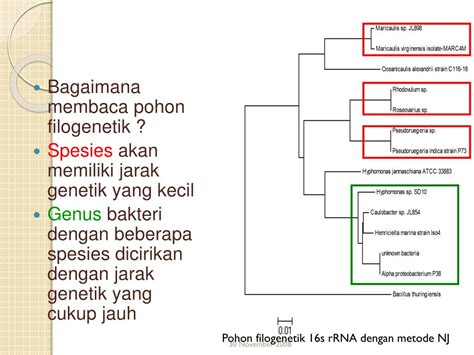 Ppt Review Bioinformatik Powerpoint Presentation Free Download Id 3668744