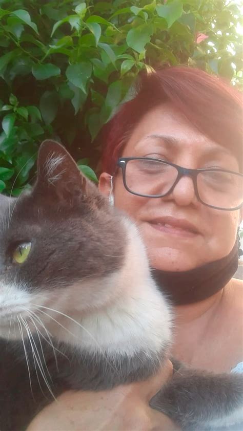 Historia De Un Gato Infiel Durante 7 Años Mayo Engañó A Dos Familias Infobae