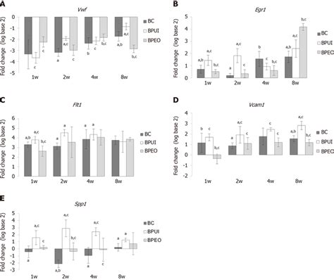 Dynamics And Patterns Of Relative Gene Expression Levels In Ectopic