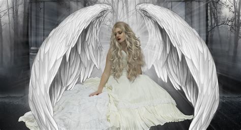 🔥 Download Fantasy Angel Wallpaper by @mjohnson3 | Fantasy Angel Wallpapers, Criss Angel ...