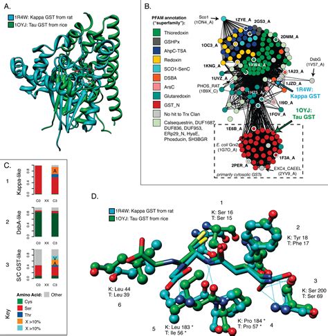 Glutathione Transferases Are Structural And Functional Outliers In The