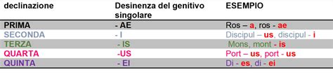 Latino In Sintesi Lezioniignoranti