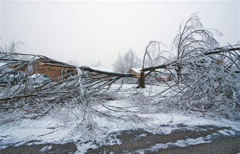 Ice Storm In Arkansas 53 Pics