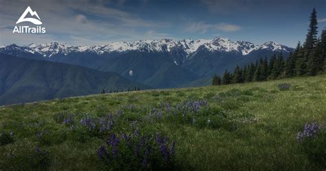 Best Trails near Port Angeles, Washington | AllTrails