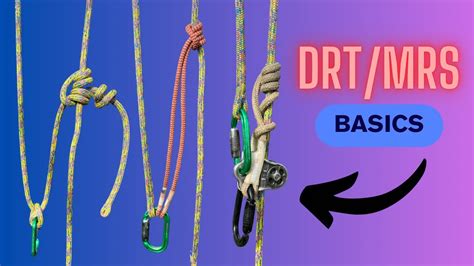 Tree Climbing Basics Beginner Guide Into Drtmrs Climbing Youtube