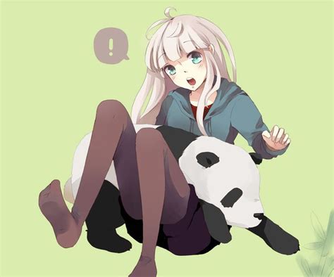 17+ images about Anime Panda Girl on Pinterest | Giant pandas, Panda ...