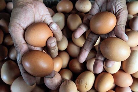 Harga Pangan Hari Ini Juli Cabai Merah Telur Hingga Bawang Putih