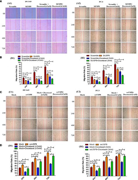 Frontiers Knockdown Of USP8 Inhibits Prostate Cancer Cell Growth