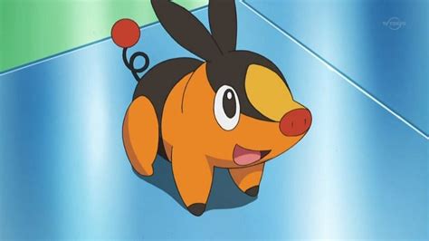 Tepig Pokémon: How to Catch, Moves, Pokedex & More