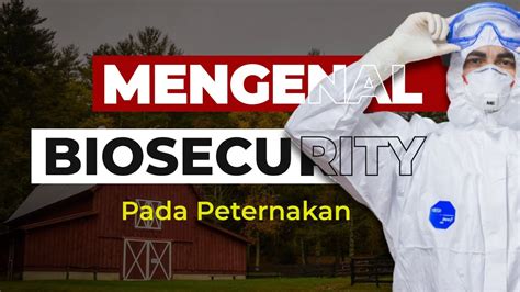 Pentingnya Penerapan Biosecurity Pada Peternakan YouTube