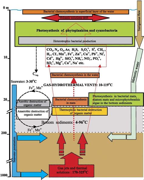 Major Biological And Geochemical Processes In Coastal Shallow Water