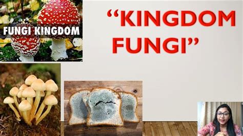 Class 11 Biological Classification Part 4 Kingdom Fungi