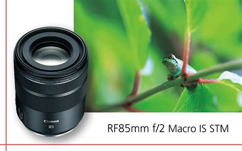 Canon RF85mm F2 Macro IS STM