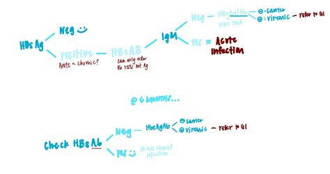 Hep B Serologic Markers Diagram Quizlet