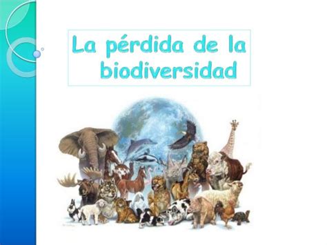 La Perdida De La Biodiversidad