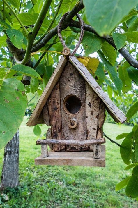 A Bird House Hanging From A Tree Branch