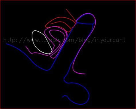 The Cervix Is Not The End Of The Vagina LPSG