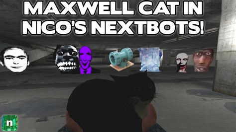 If Maxwell Cat Was In Nico S Nextbots Roblox Nico S Nextbots Youtube