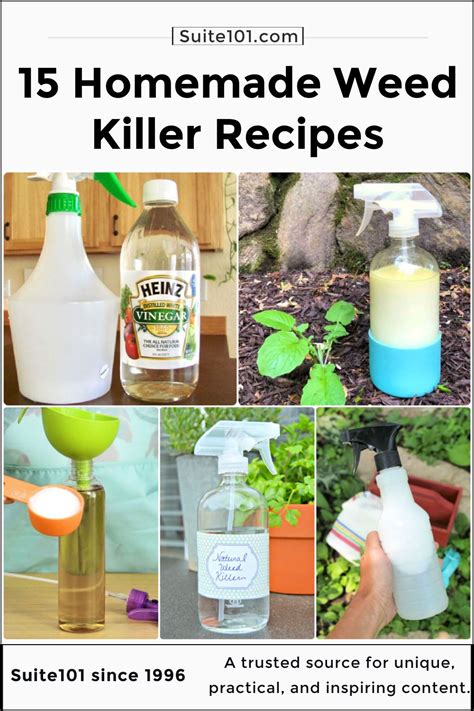 15 Homemade Weed Killer Recipes You Can Diy Suite 101